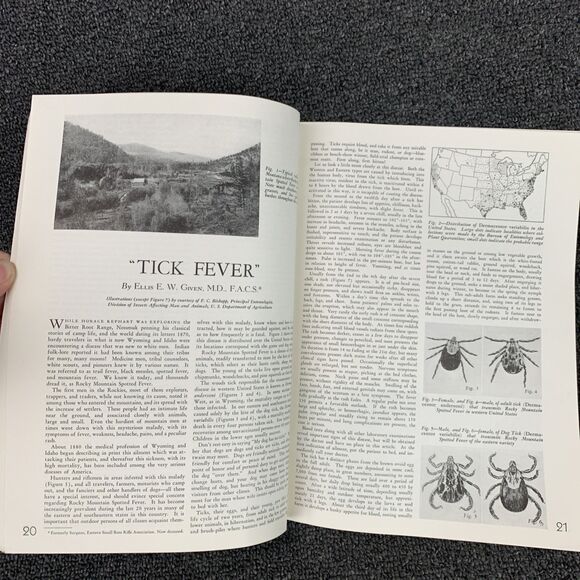 Vintage The American Rifleman Magazine July 1939 Sporting Hunting Firearms - Picture 9 of 11